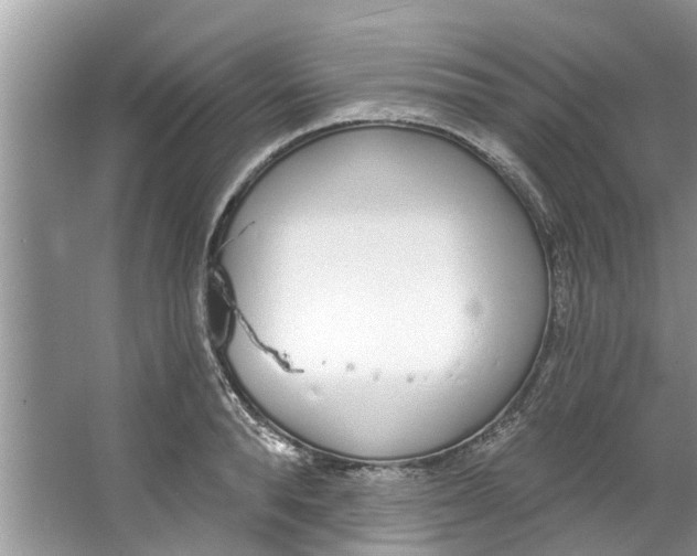 X0000064050896200602101447