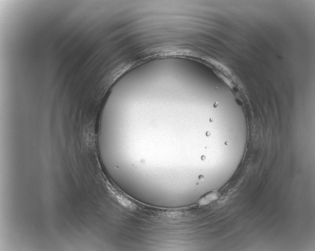 X0000064050897200602101447