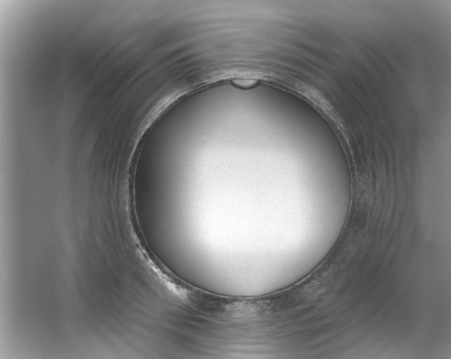 X0000064050898200602101447