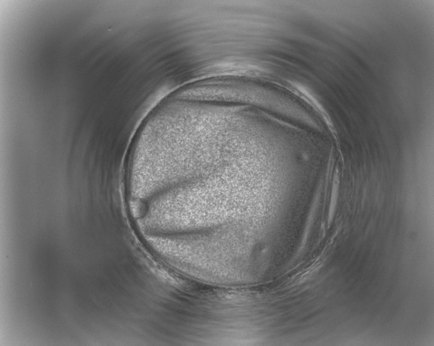 X0000064050899200602101447