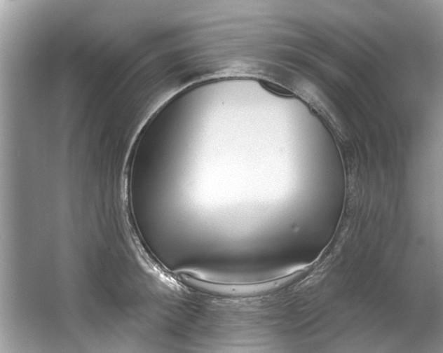 X0000064050900200602101447