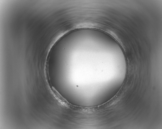 X0000064050901200602101447