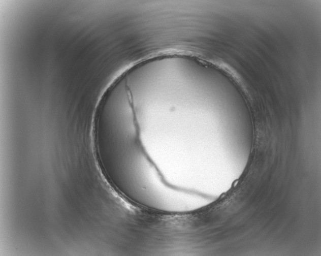 X0000064050902200602101447