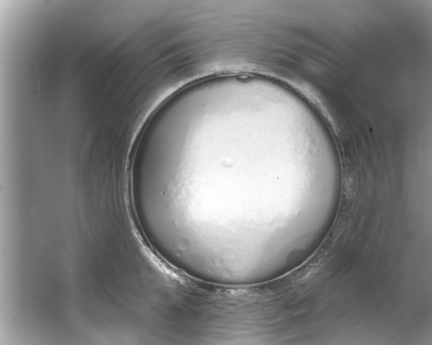 X0000064050903200602101447