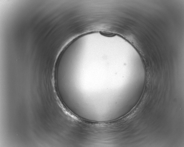 X0000064050904200602101447