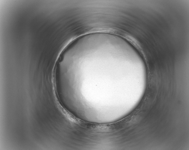 X0000064050907200602101447