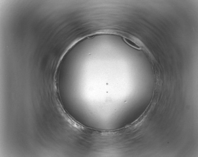 X0000064050908200602101447