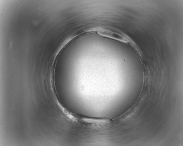 X0000064050909200602101447