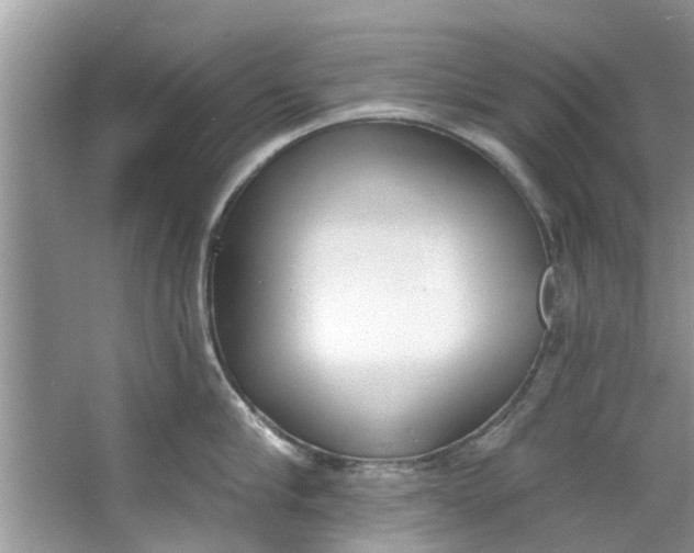 X0000064050910200602101447