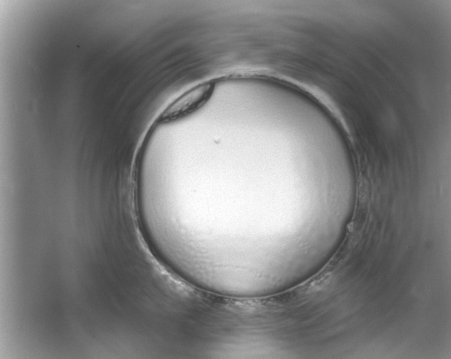 X0000064050911200602101447