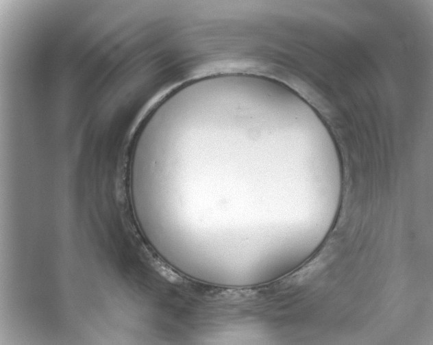 X0000064050912200602101447