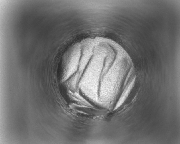 X0000064050913200602101446