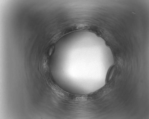 X0000064050914200602101446