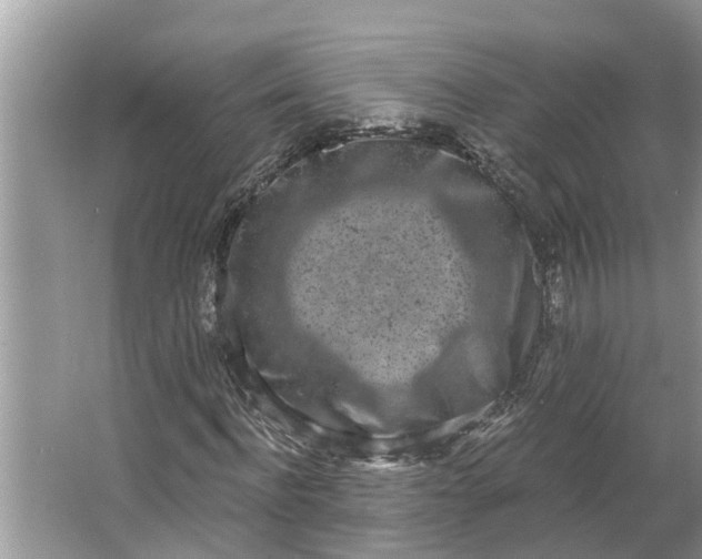 X0000064050916200602101446