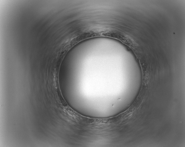 X0000064050917200602101446