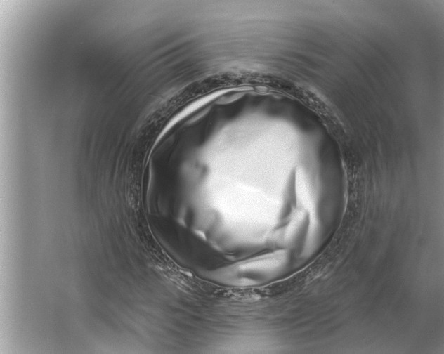 X0000064050919200602101446