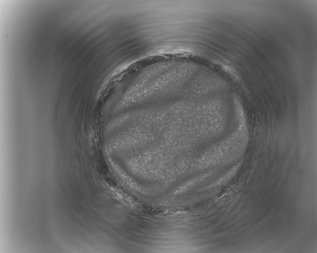 X0000064050920200602101446