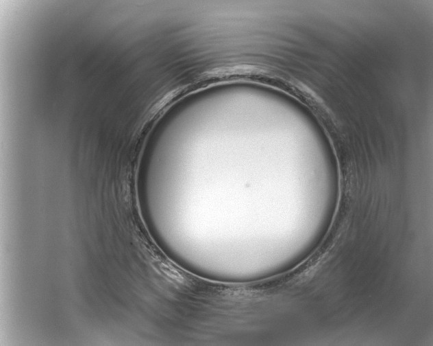 X0000064050921200602101446