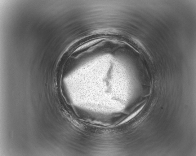 X0000064050923200602101446