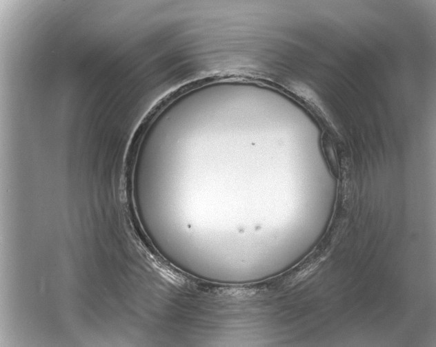 X0000064050924200602101446