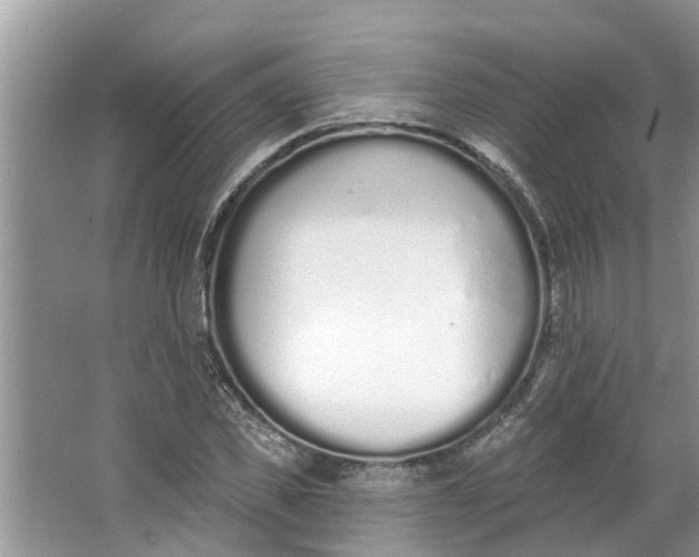 X0000064050925200602101446