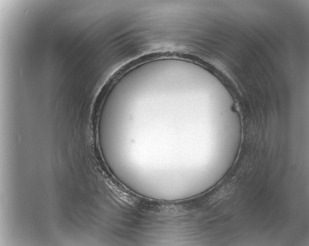 X0000064050927200602101446