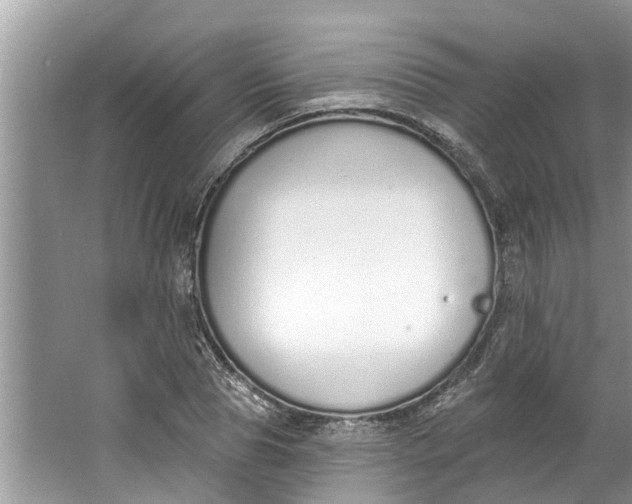 X0000064050929200602101447