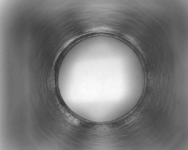 X0000064050931200602101447