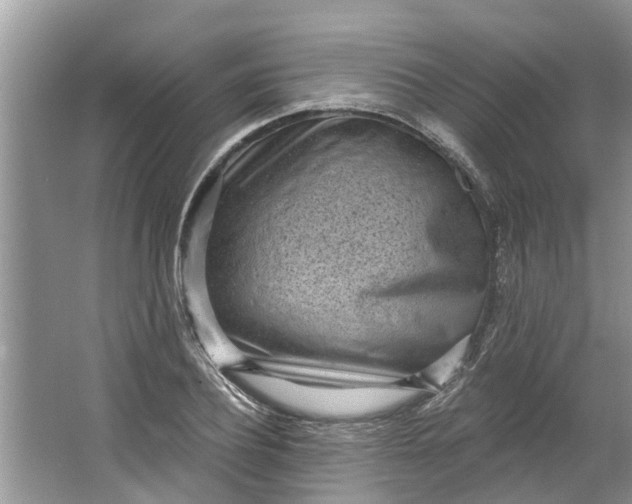 X0000064050932200602101447