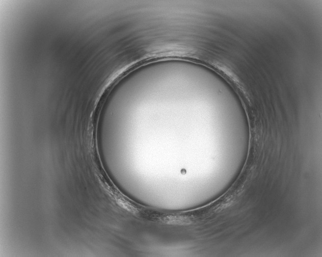 X0000064050933200602101447