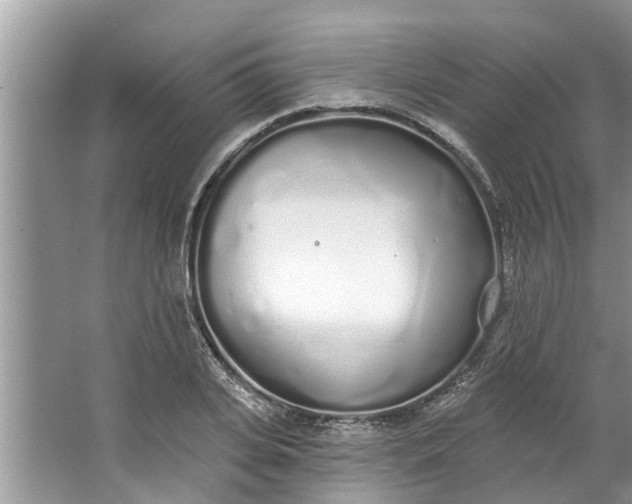 X0000064050935200602101447