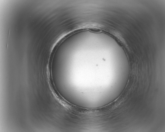 X0000064050936200602101447