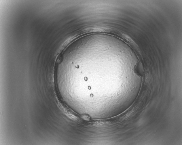 X0000064050938200602101447