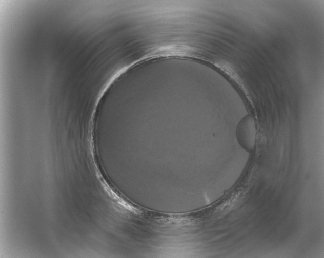 X0000064050941200602101447