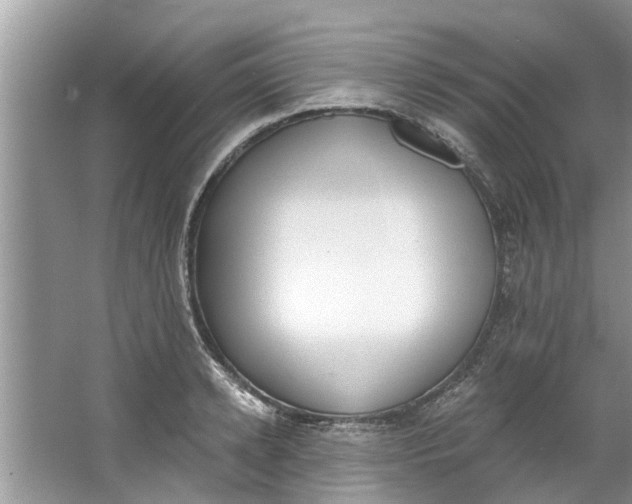 X0000064050942200602101447