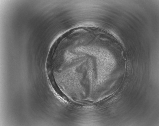 X0000064050944200602101447