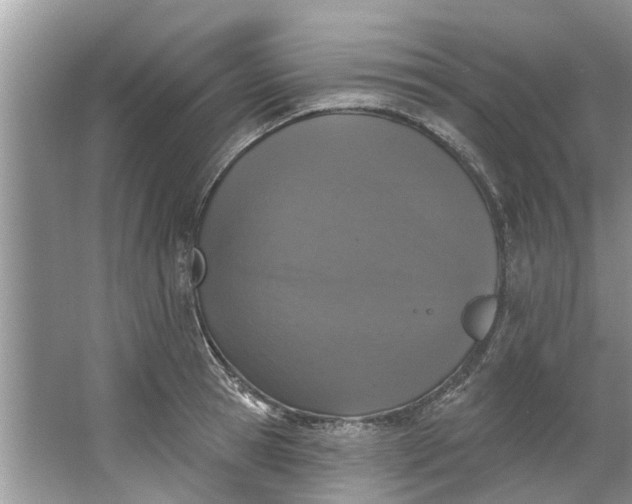 X0000064050945200602101447