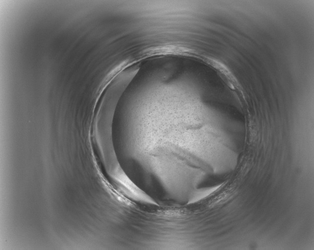 X0000064050946200602101447