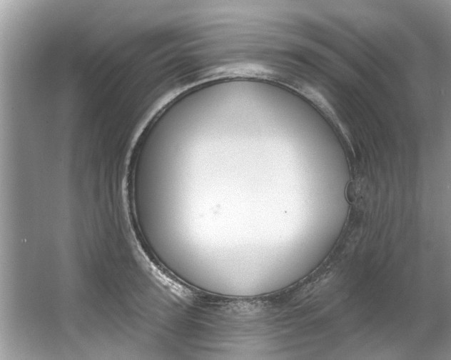 X0000064050947200602101447