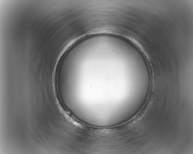 X0000064050949200602101447