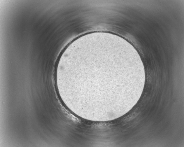 X0000064050950200602101447