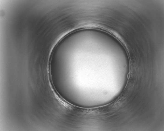 X0000064050951200602101447