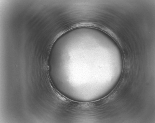 X0000064050953200602101447