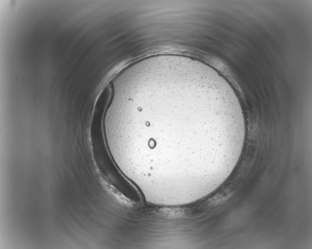 X0000064050954200602101447