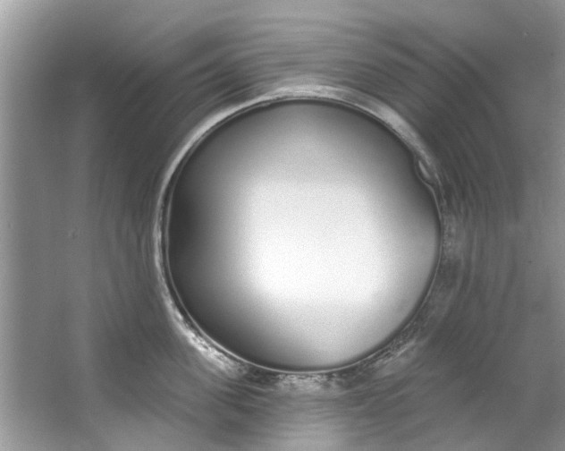 X0000064050955200602101447