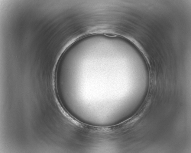 X0000064050957200602101447