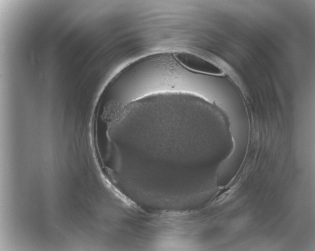 X0000064050958200602101447