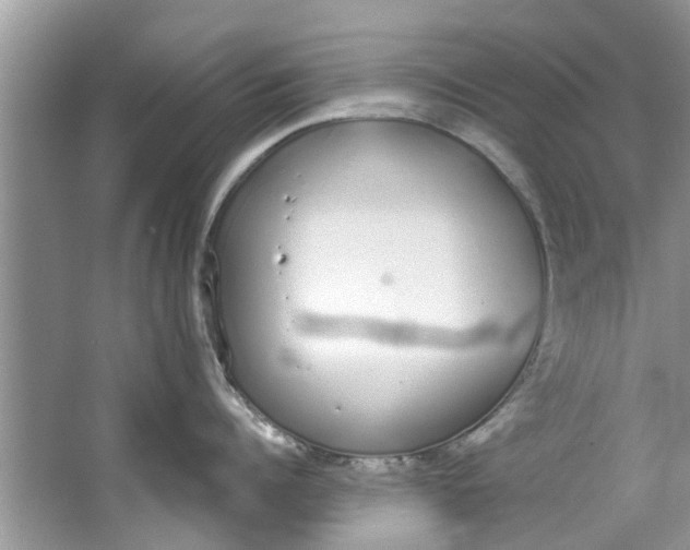 X0000064050960200602101447