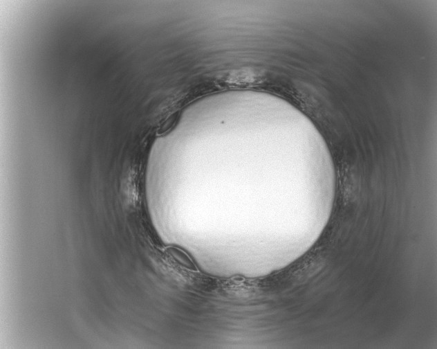 X0000064050962200602101446