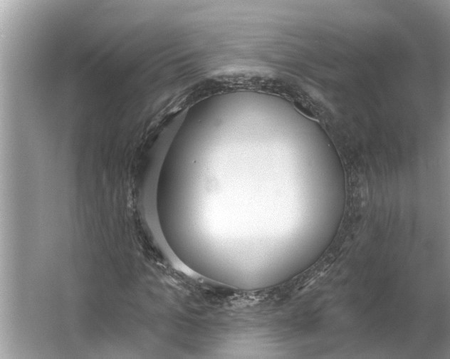 X0000064050965200602101446